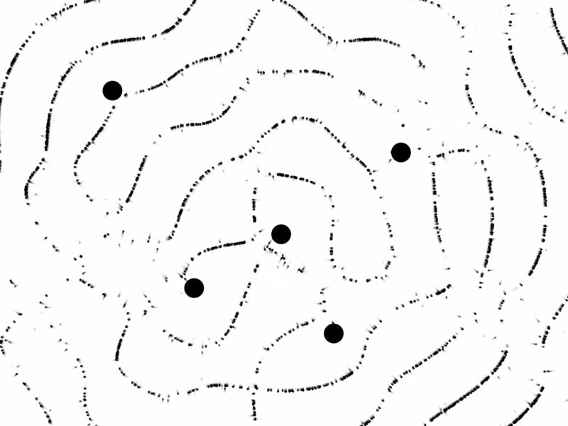cladni plate experiments – sonic patterns